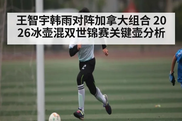 王智宇韩雨对阵加拿大组合 2026冰壶混双世锦赛关键壶分析